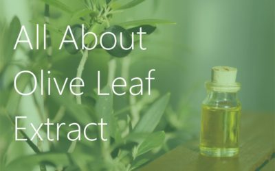All About Olive Leaf Extract