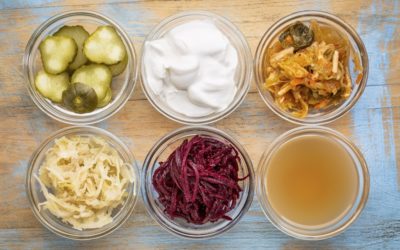 Probiotics Explained