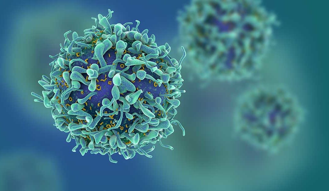 How to Protect Yourself from Coronavirus Infection by Improving Your Immunity