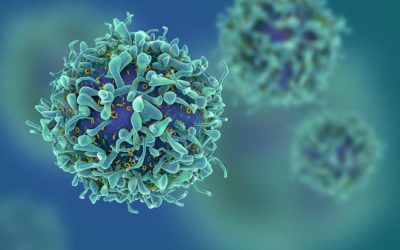 How to Protect Yourself from Coronavirus Infection by Improving Your Immunity