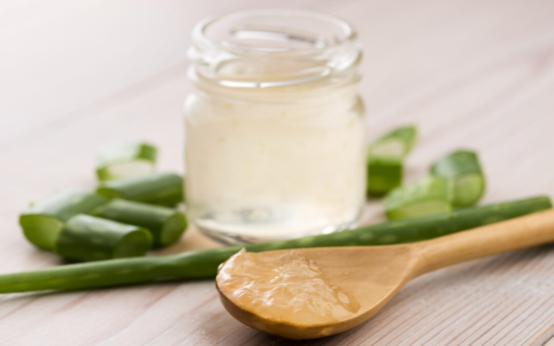 The Immune Enhancing Properties of Aloe Vera
