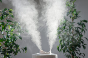 dry skin winter remedies
