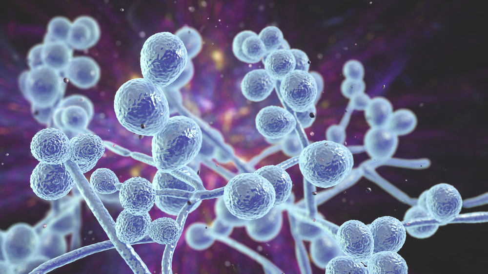 Chronic Candida Overgrowth: Causes and Effective Treatment