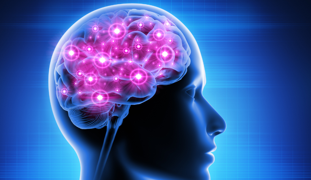 The Benefits of Olive Leaf Extract on Brain Health