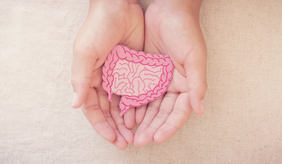 Probiotics and Exercise: How a Healthy Gut Supports Your Fitness Journey